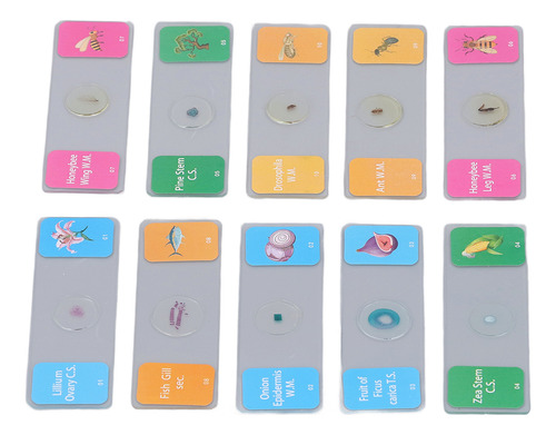 10 Portaobjetos De Microscopio Con Muestras De Animales, Pla