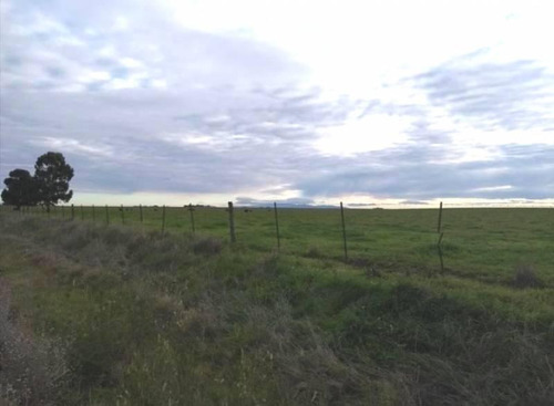 Imagen 5 de 10 de Venta - Campo En Plomer Pdo. General La Heras - Bayugar Negocios Inmobiliarios