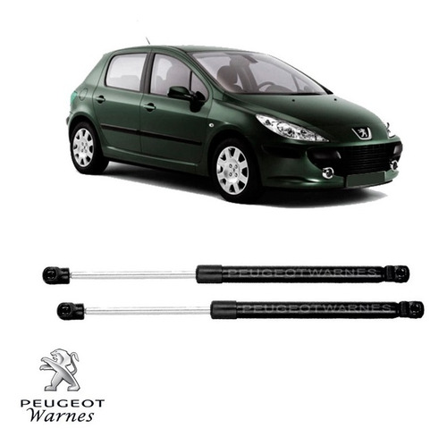 Juego 2 Amortiguadores A Gas Porton De Peugeot 307