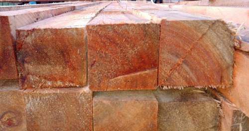 Tirante Puntal Pino 3x3x3.05 Mts Encofrados Niza Steel
