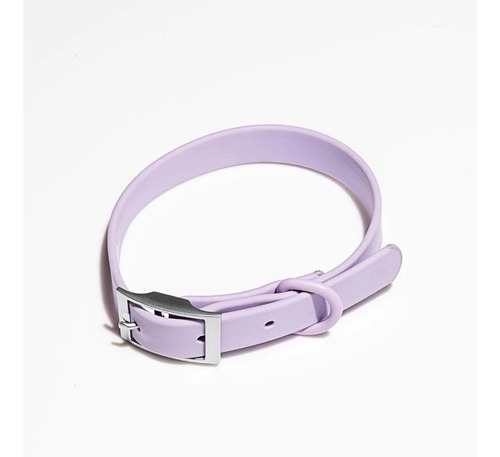 Collar Perro Wild One Lila Talla S