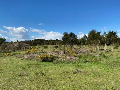 Venta Parcela En Puelo. (75308)