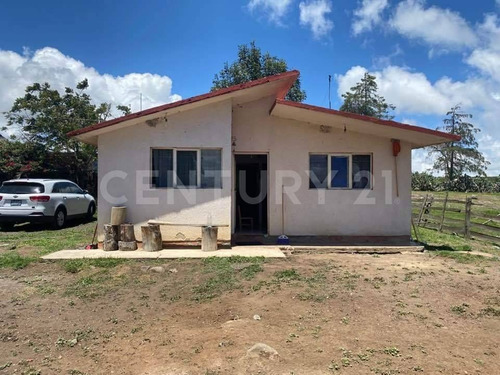 Imagen 3 de 24 de Se Vende Rancho En Hidalgo Para Inversionistas