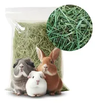 Comprar Alfalfa Heno Cobayos Conejos Roedores Ratas Ratones 1kg