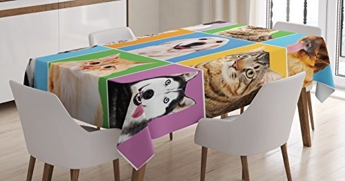 Ambesonne Animal Mantel, Varios Cachorros De Perro Y Gato Re