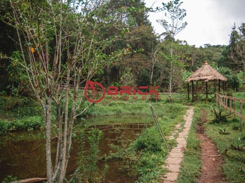 Imagem 20 de 23 de Lindo Sítio Com 6 Quartos Sendo 2 Suítes Cercado Pela Natureza Em Pessegueiros - St00149 - 34733834