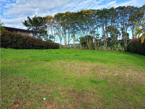 Lote En Venta Sector Alto De Palmas Envigado