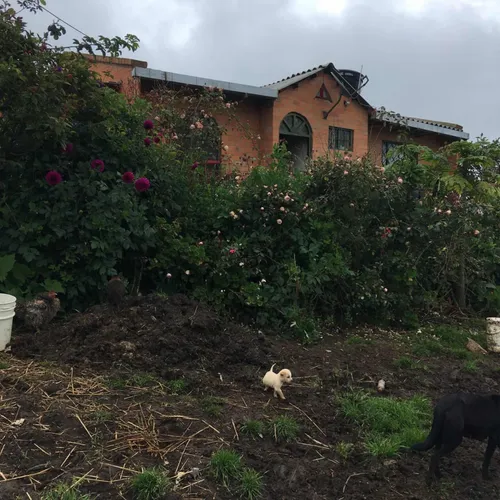 Finca Con Encanto En Vereda Alto Negro, Soracá - Boyacá