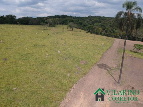 Imagem 4 de 15 de Chácaras Em Florestal - 3337