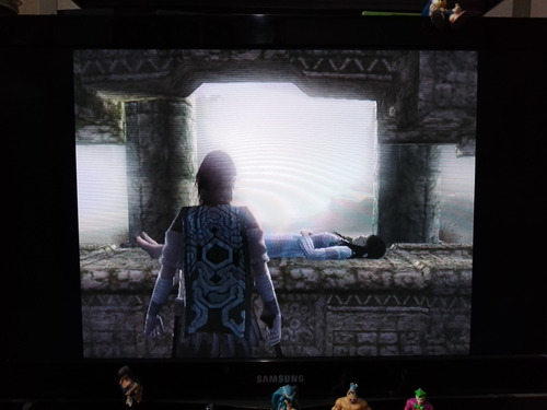 Shadow Of The Colossus Ps2 Completo - Wird Us (Usado)