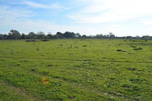 Imagen 5 de 17 de Terreno Para Empredimiento Manzanares 15 Hectareas