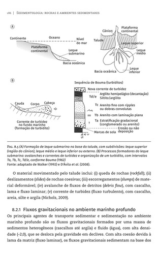 Sedimentologia: Rochas E Ambientes Sedimentares