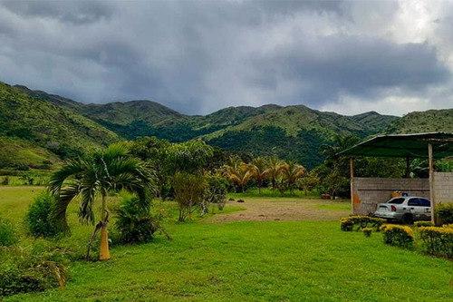 Imagen 6 de 10 de Fd Asein P1454 Vende Hermosa Finca En Chirgua Sector El Leon Municipio Bejuma Del Edo. Carabobo