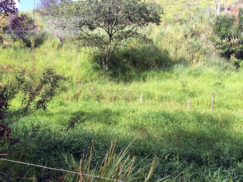 Imagem 6 de 15 de Sítio Em Três Porteiras - Paty Do Alferes - 1517