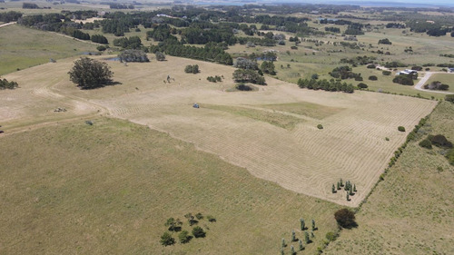 Imagen 21 de 30 de Chacra En Venta, Fraccion De 20 Has En Jose Ignacio (ref: Atm-6766)
