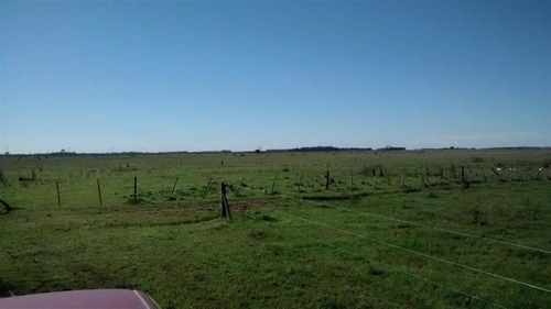 Imagen 18 de 24 de Campo En San Vicente