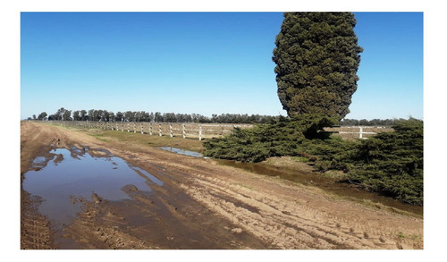 Imagen 25 de 25 de Terreno Campo En Venta Ubicado En Bragado, Resto De La Provincia