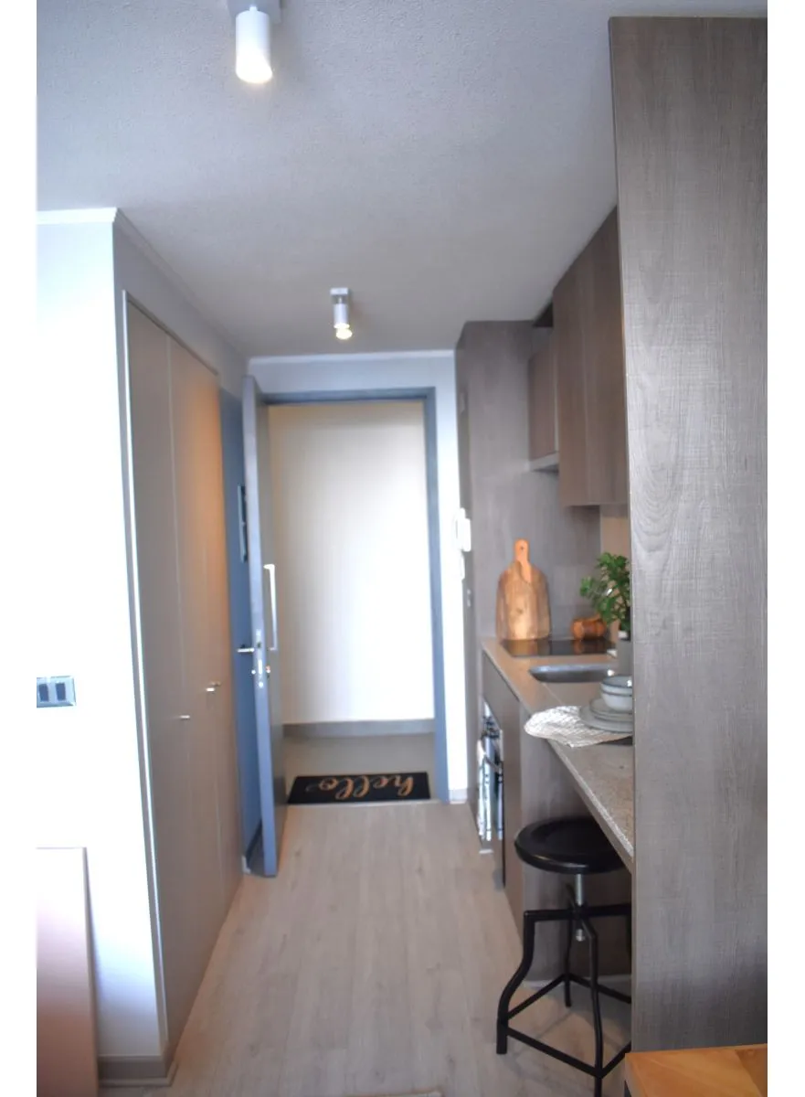 Imagen 3 de 17 de Arriendo Departamentos Nuevos, 1 Ambiente, Metro San Alberto