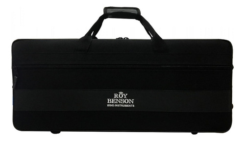 Saxofone Alto Roy Benson As202
