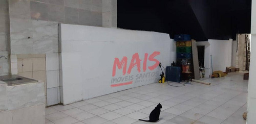 Imagem 9 de 16 de Loja Para Alugar, 205 M² - Macuco - Santos/sp - Lo0029