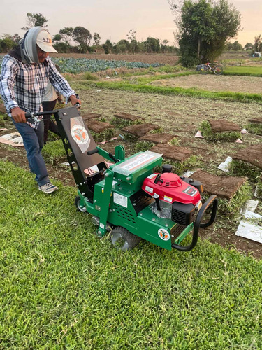 Imagen 17 de 19 de Sod Cutter Saca Champas Tepes Champeadora Cosechadora Grass