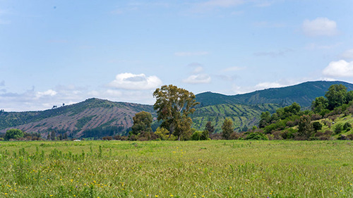 Imagen 1 de 15 de Hacienda Los Coipos