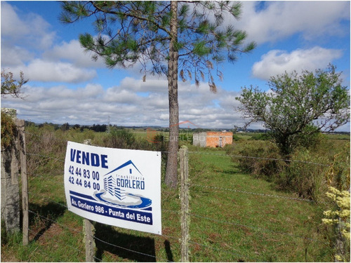 Chacra En Venta En Uruguay, Punta Del Este, Ruta 12, Las Vertientes- Ref: 21442