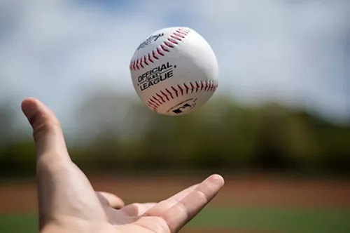 Pelota Baseball Rawlings Beisbol Profesional Entrenamiento