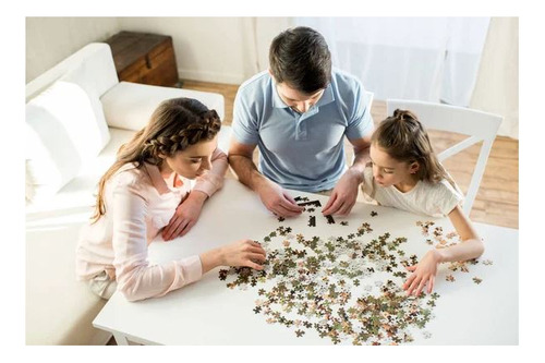 Puzzle 500 Piezas