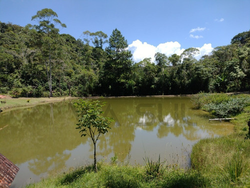 Imagem 4 de 30 de Belíssimo Sítio, Com Excelente Topografia E Rico Em Água - 52 - 70636338