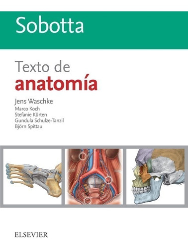 Texto De Anatomía Sobotta