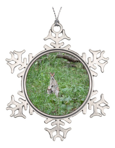 Dokky J Idea Para Decorar Arbol Navidad Wallaby Joey Rural