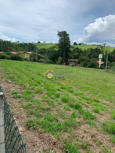 Imagem 1 de 1 de Terreno - Te00344 - 69013442