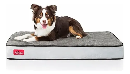 Cama Ortopédica Para Perro Mediano Brindle Memory Foam 86x56cm