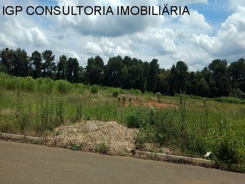 Imagem 8 de 11 de Terreno Industrial Europark Indaiatuba - Te02607 - 34053321