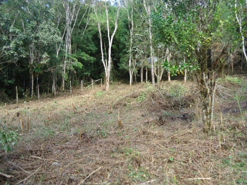 Imagem 4 de 10 de Lindo Terreno Com Lago Ref 874