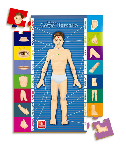 Imagem 3 de 3 de Conheça O Corpo Humano Brincadeira De Criança 18 Peças