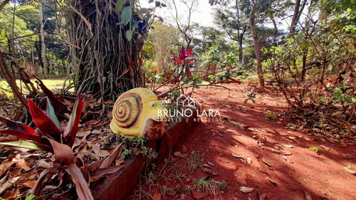Imagem 5 de 29 de Sítio À Venda Em Igarapé Residencial Ouro Verde. - Si0102