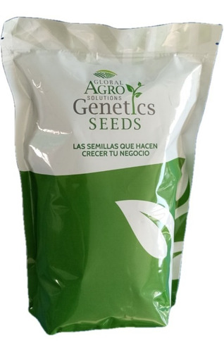 Semilla Calabaza Greypetinif1 1,000semillas Zucchini Híbrido