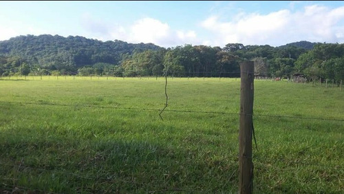 Imagem 6 de 6 de Vende Se Um Terreno Grande Em Iguape Sp
