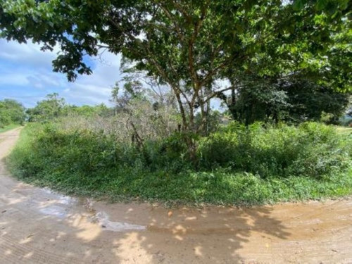 Imagem 3 de 3 de Lote Amplo E Escriturado Na Praia De Itanhaém/sp!