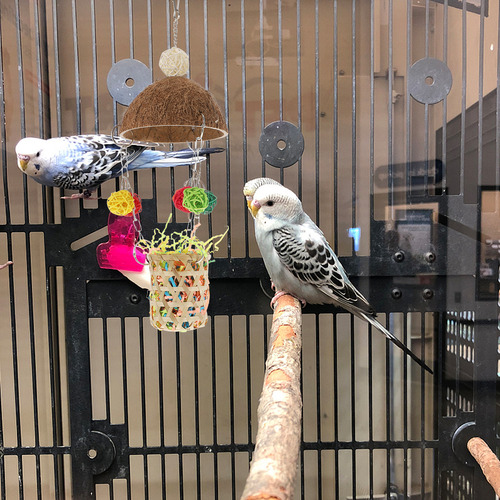 Juguete Para Pájaros El Nido De Pájaro