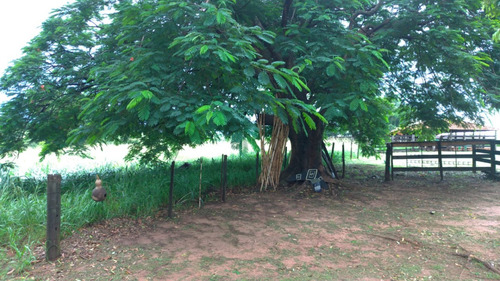 Chácara, Sitío De 3 Alqueires Na Cidade De Nova Castilho Sp, Regiao De São Jose Do Rio Preto E Araçatuba Sp