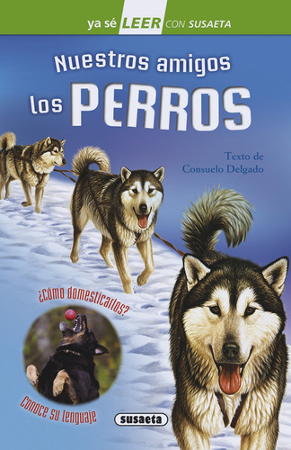 Libro Nuestro Amigos Los Perros - Vv.aa.