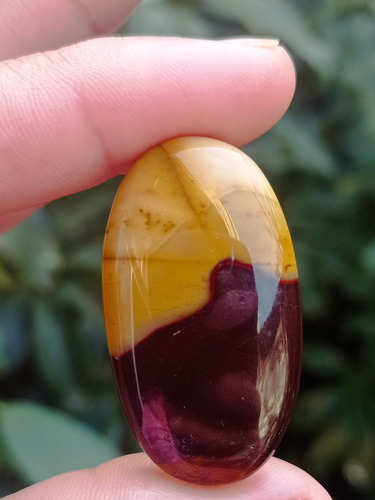 Cabujón Jaspe Mokaita / Sanación Reiki