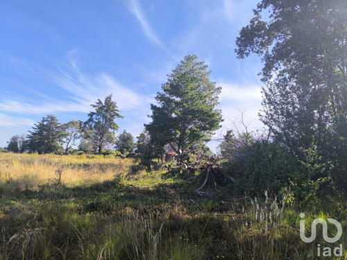 Venta Terreno 0 Ambiente La Mora