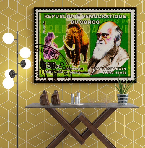 Cuadro En Lienzo Tayrona Store Charles Darwin 074 80x60cm