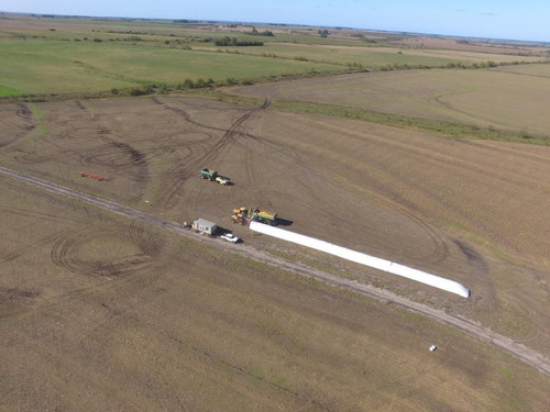 Imagen 7 de 7 de 500 Hectáreas Agrícolas En San Salvador, Entre Ríos A 1000 Metros Del Ripio.