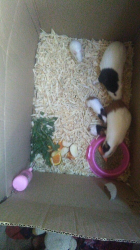 Imagen 7 de 7 de Cui Bebes