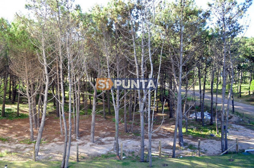 Imagen 10 de 30 de Apartamento Nuevo A Estrenar Con Todos Los Servicios